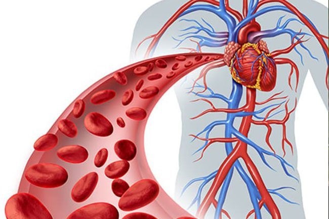 اثرات مضر گردش خون ضعیف در بدن